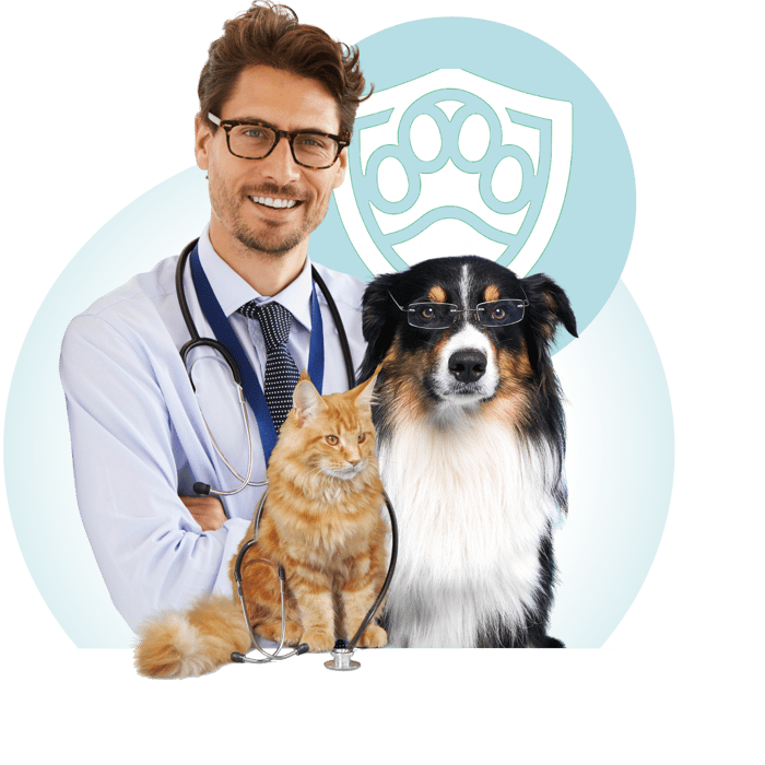 Tierarzt mit Hund und Katze